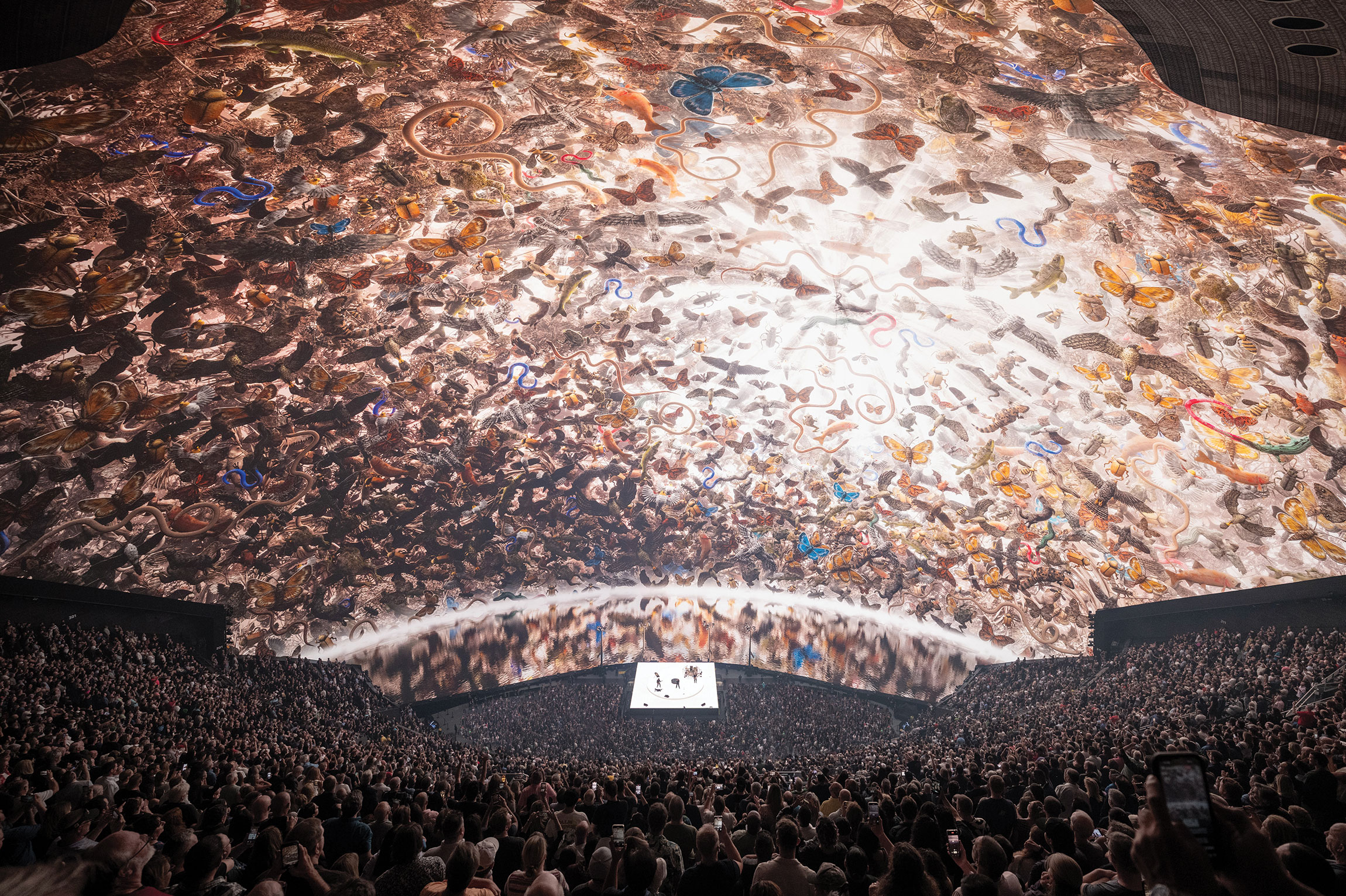 Arena audience at a headline event